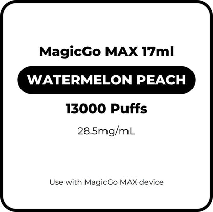 Magic IGO MAX Pod SYSTEM